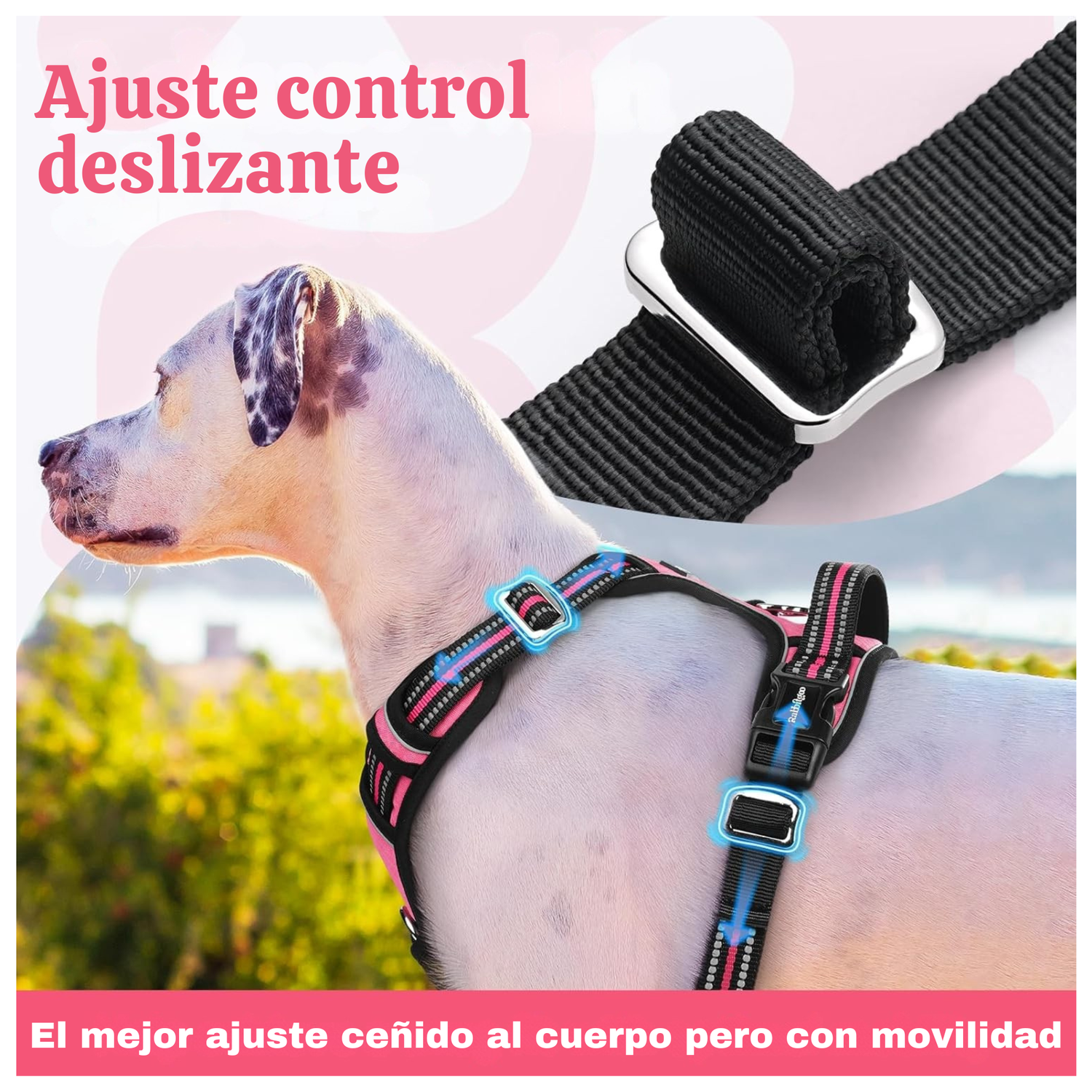 png_1500x1500_66001786